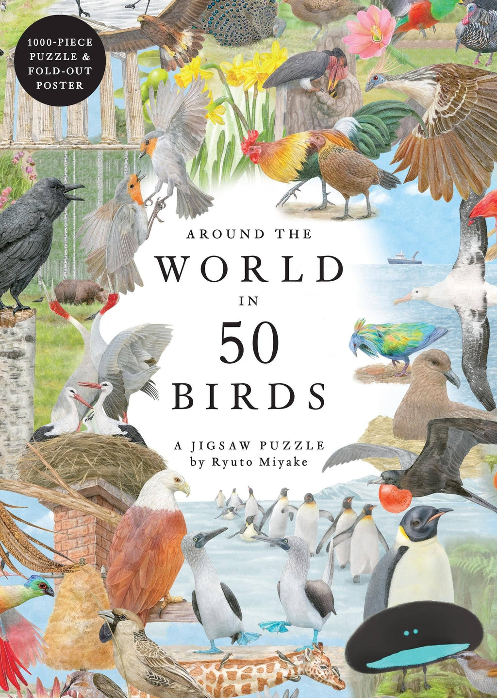 Around the World in 50 Birds - Jigsaw