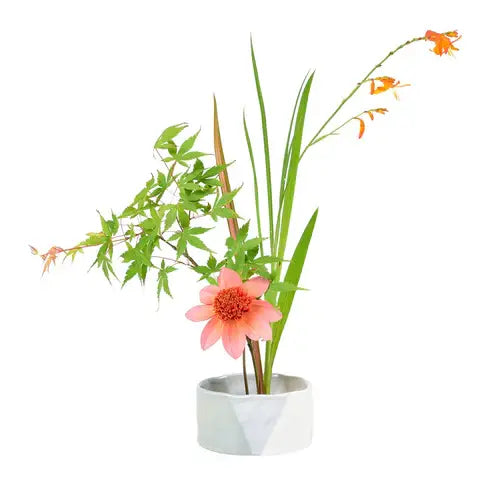 Fuji - Japanese flower arrranging bowl