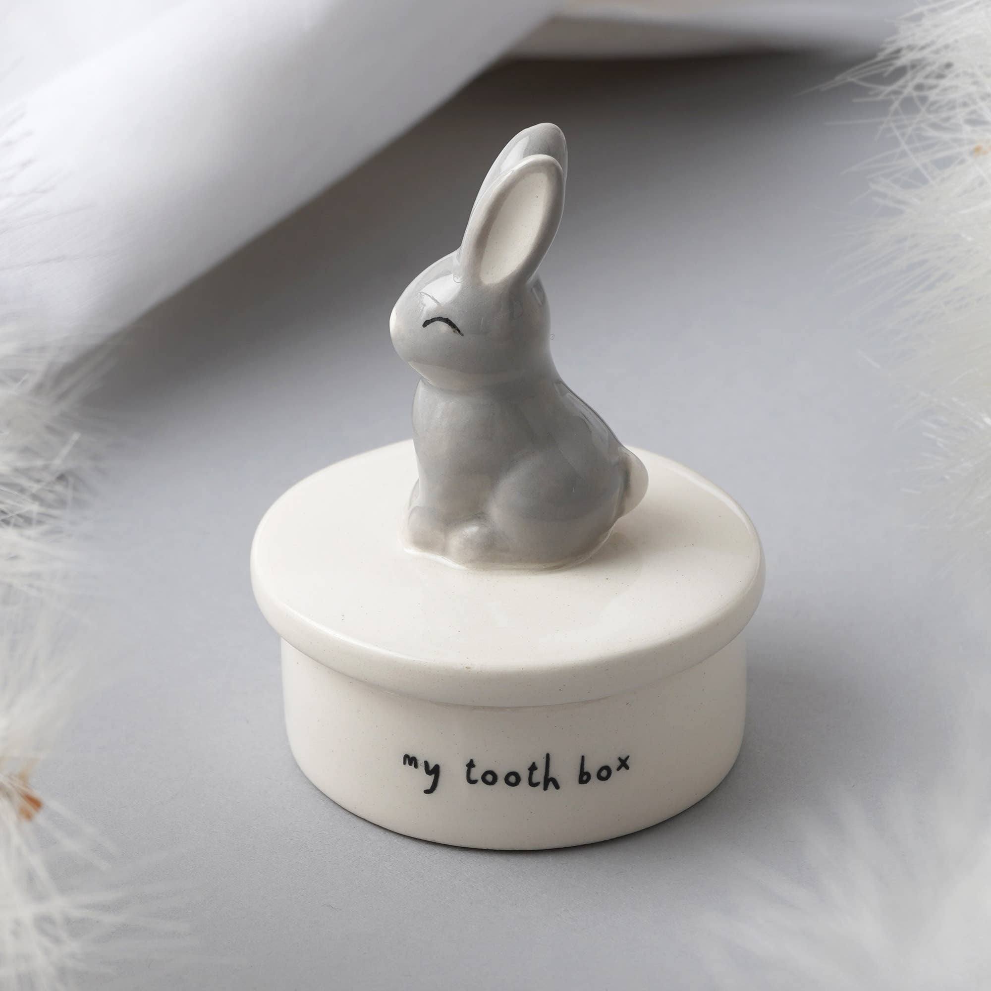 Send With Love Bunny - Tooth Box
