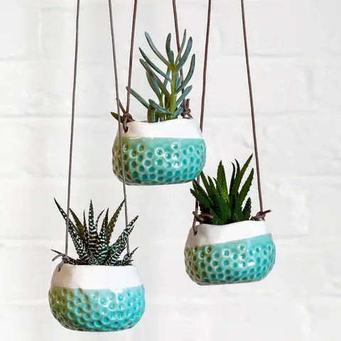 Hanging Pot - Baby Dotty