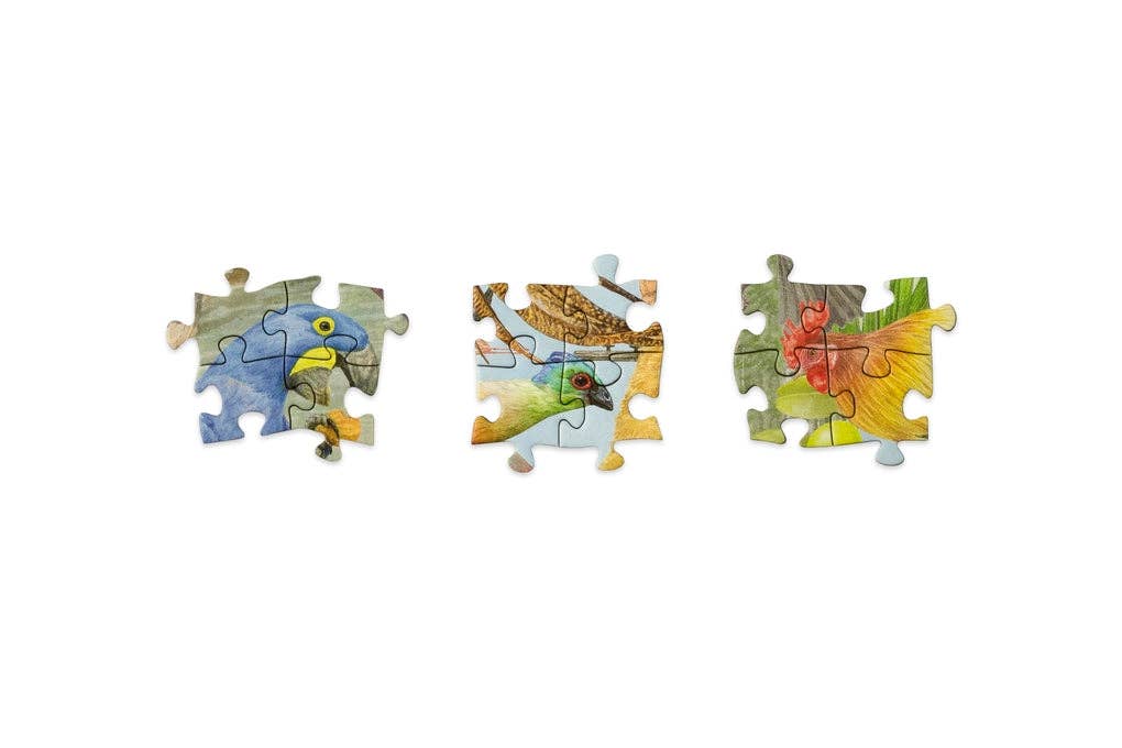 Around the World in 50 Birds - Jigsaw