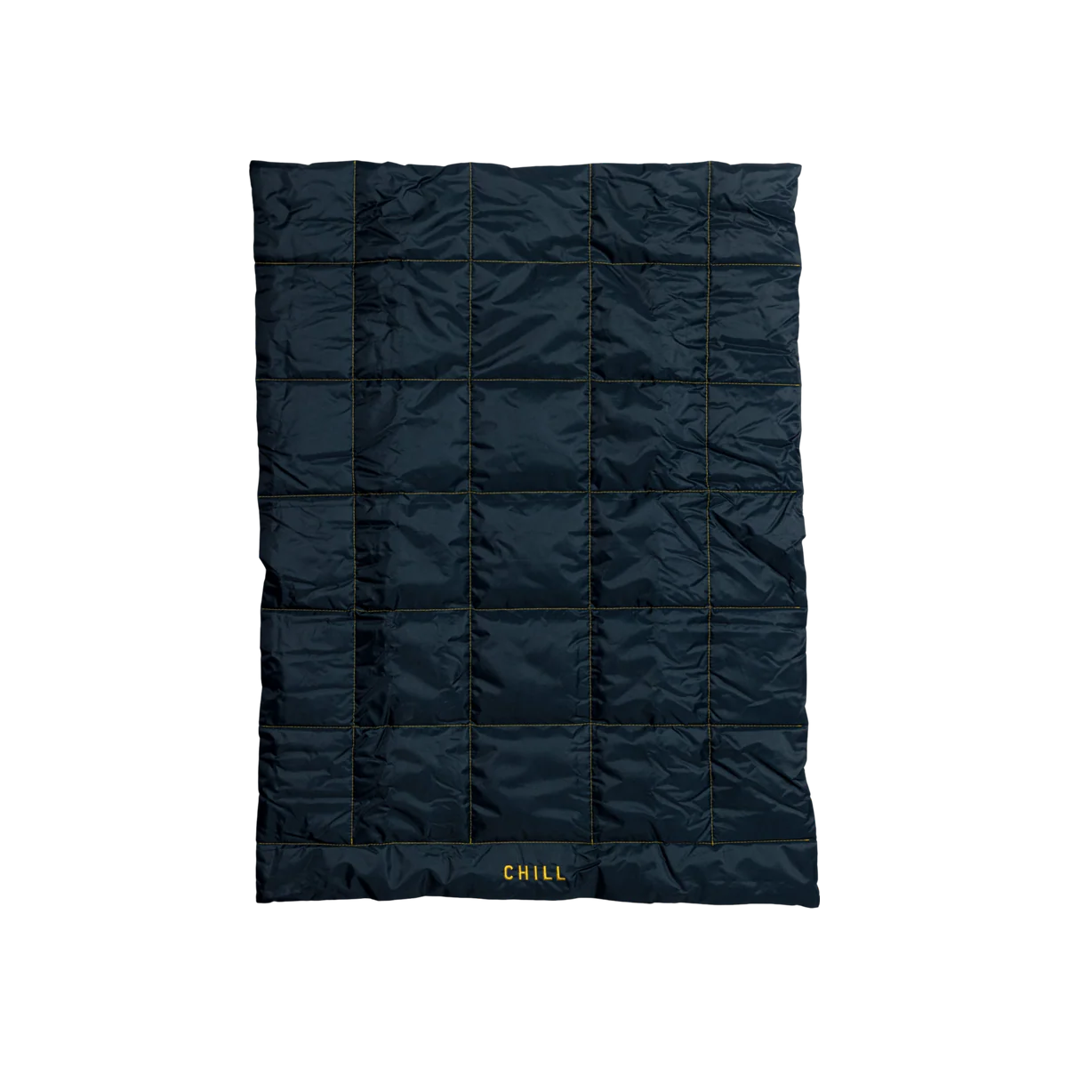 Travel Dog Mat