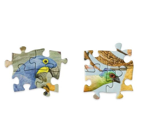 Around the World in 50 Birds - Jigsaw