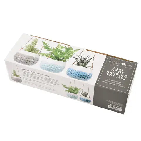 Hanging Pots - Baby Dotty Trio