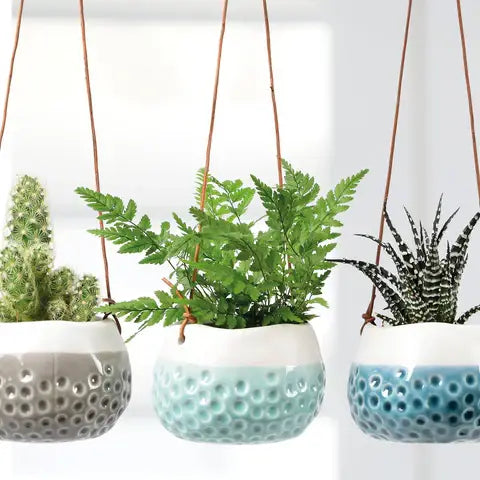 Hanging Pots - Baby Dotty Trio