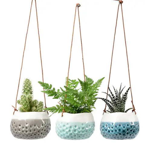 Hanging Pots - Baby Dotty Trio